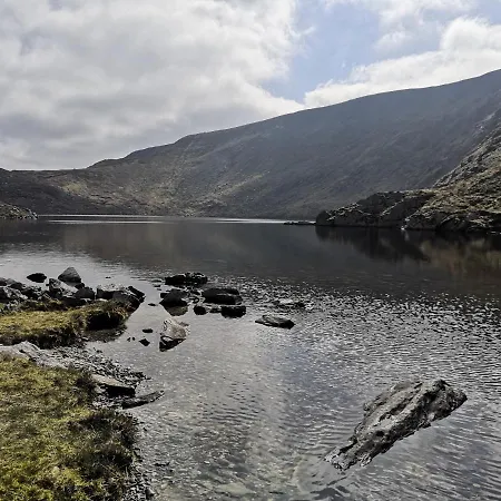 Cedar Woodford (Kerry)